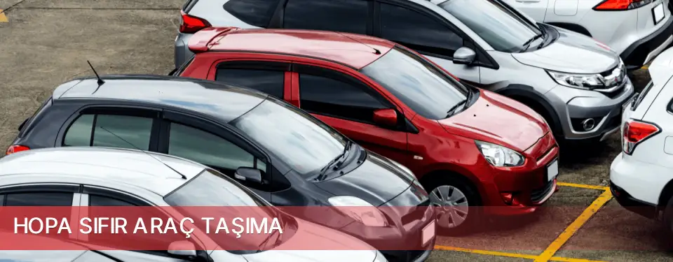 Hopa İlçemi Sıfır Araç Taşıma